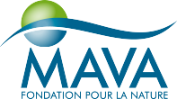 Logo Mava Foundation